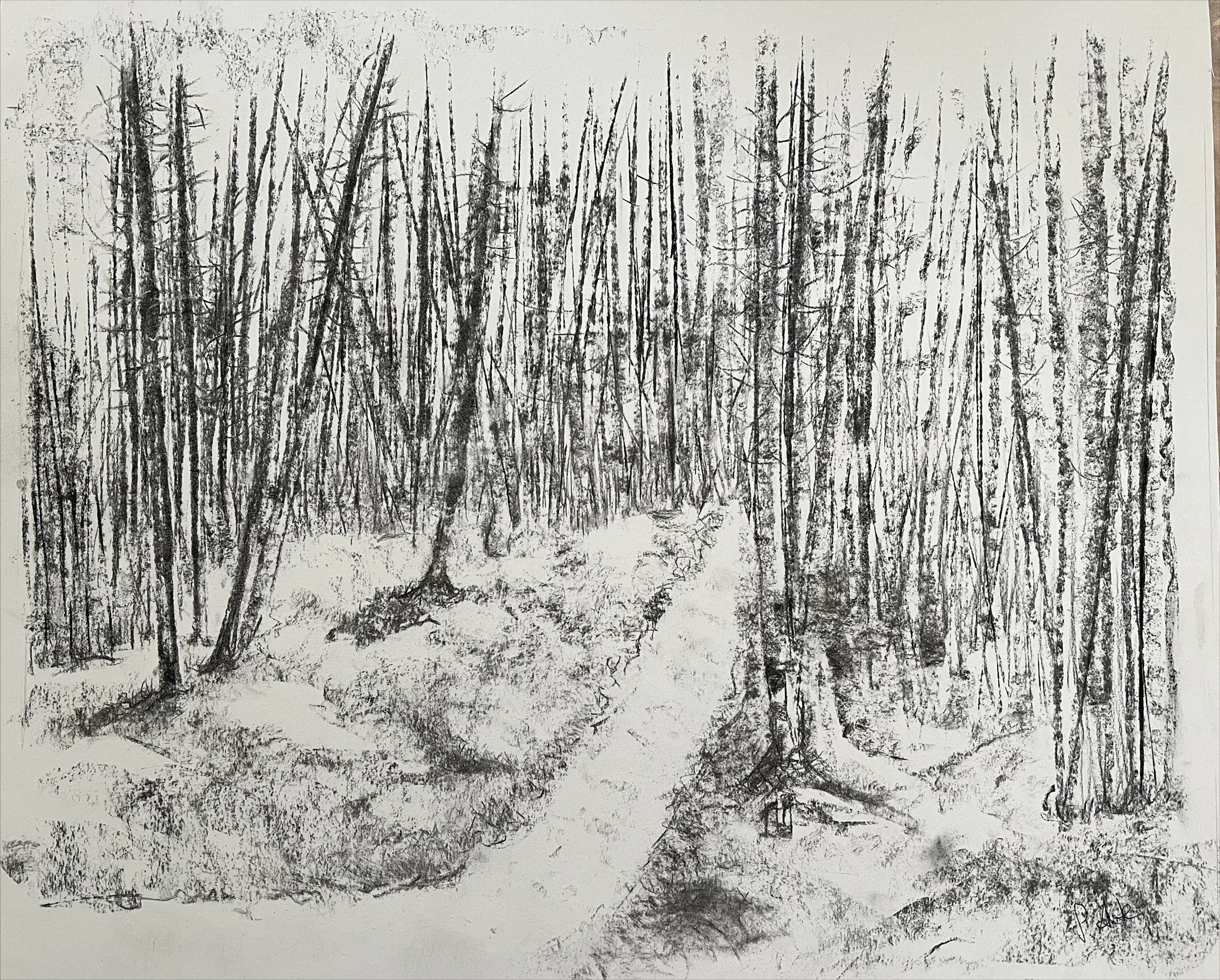 Wald Zeichnung